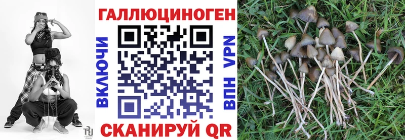 купить наркоту  Апрелевка  Галлюциногенные грибы Cubensis 